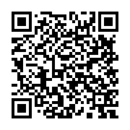 QR code for 96W873