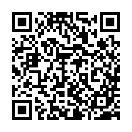 QR code for 96X387