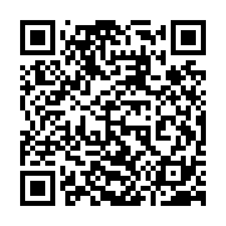 QR code for 971N31