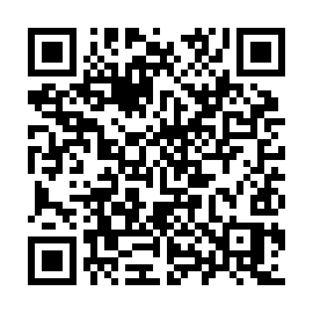 QR code for 981ZIS