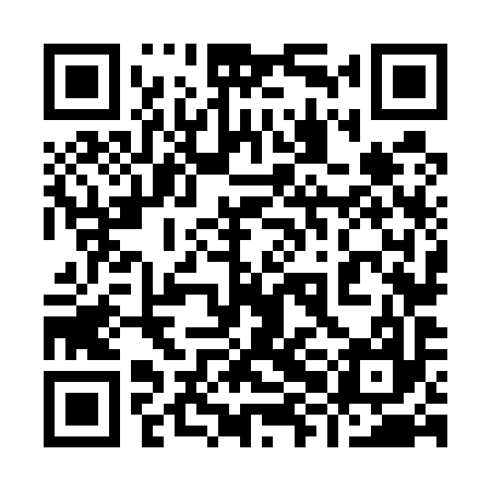QR code for 98N597