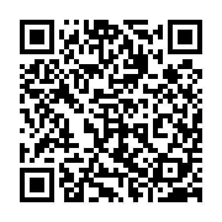 QR code for 98Q509