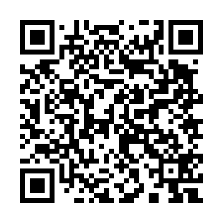 QR code for 98Z419