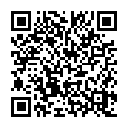 QR code for 991DGX