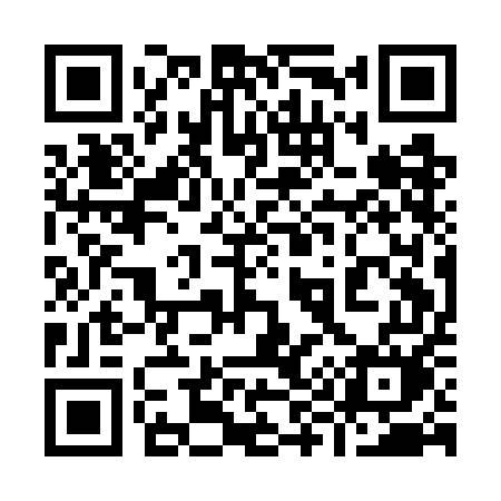 QR code for 991GEM
