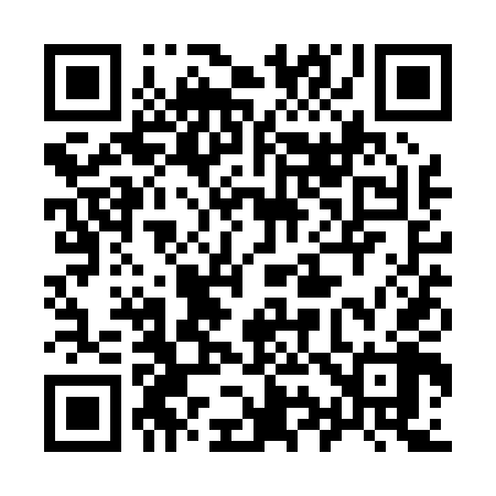 QR code for 991P48