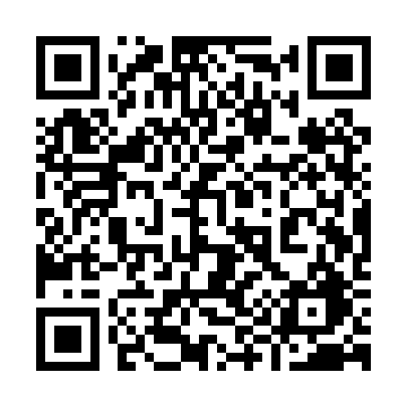 QR code for 991PRG