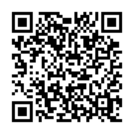 QR code for 991SAL