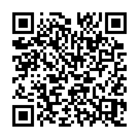 QR code for 991SUP