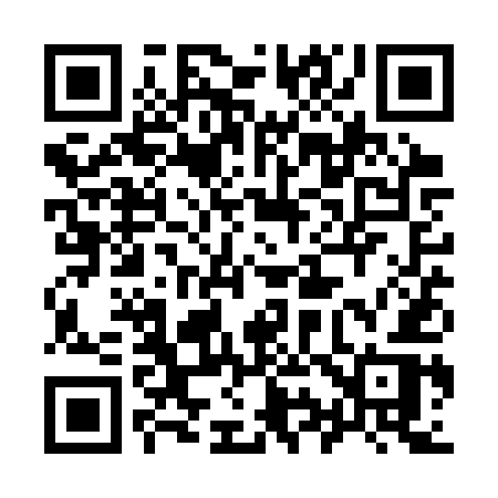 QR code for 991SUR