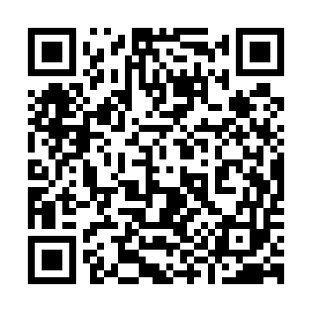 QR code for 991U53