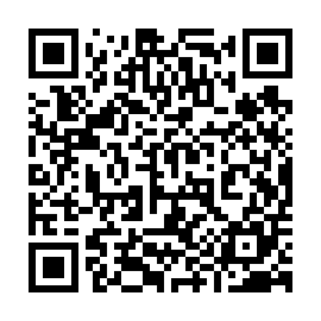 QR code for 991V05