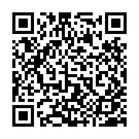 QR code for 993LHP