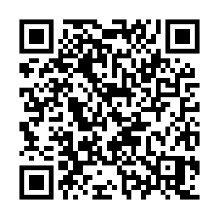 QR code for 993MXP