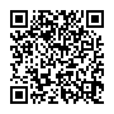 QR code for 993P33