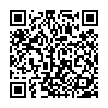 QR code for 993T29