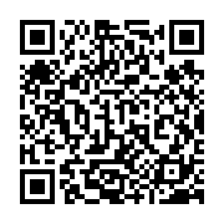 QR code for 993V30