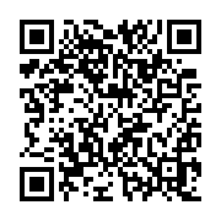 QR code for 993WYJ