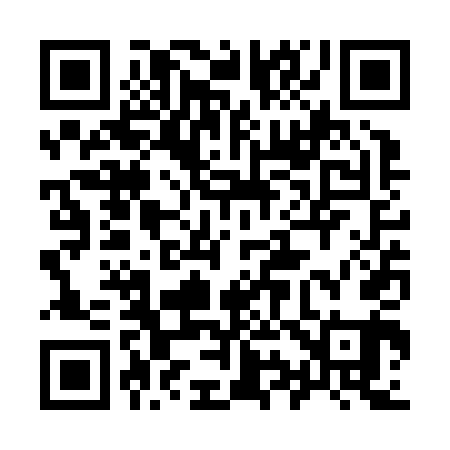 QR code for 993Z41