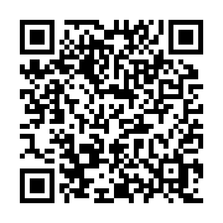 QR code for 993ZQL