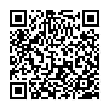 QR code for 994APP