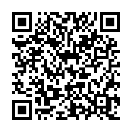 QR code for 994INF