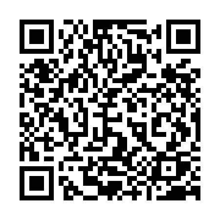 QR code for 995MCP
