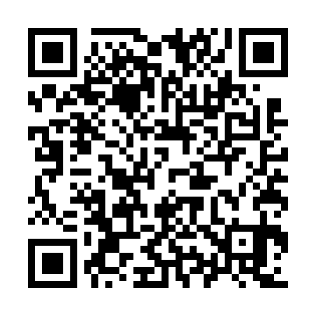 QR code for 995V31