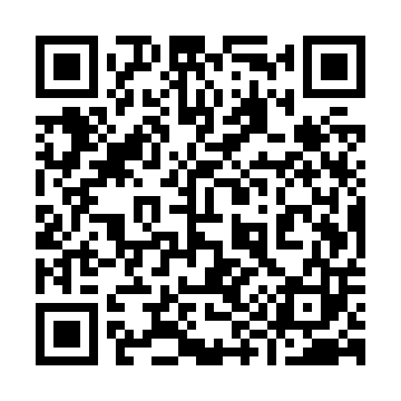 QR code for 995Z03