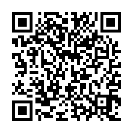 QR code for 996Q11