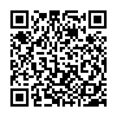 QR code for 999H38