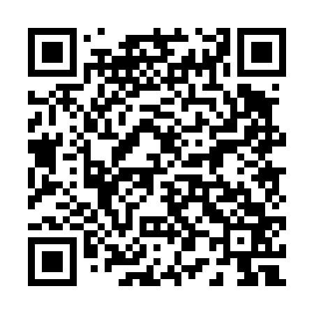 QR code for 000463