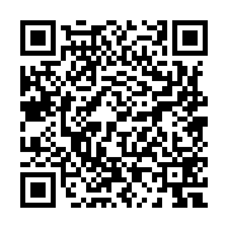 QR code for 0009597