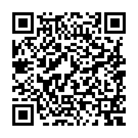 QR code for 0009900