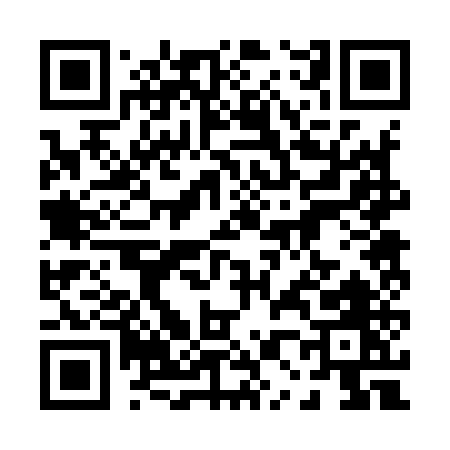 QR code for 00295