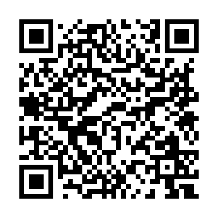 QR code for 00393