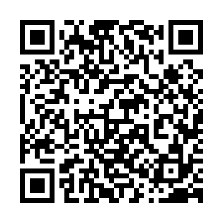QR code for 006132