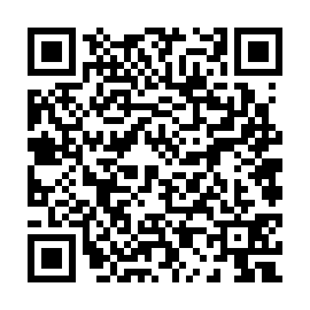 QR code for 0063317