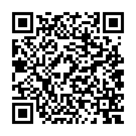 QR code for 0063651