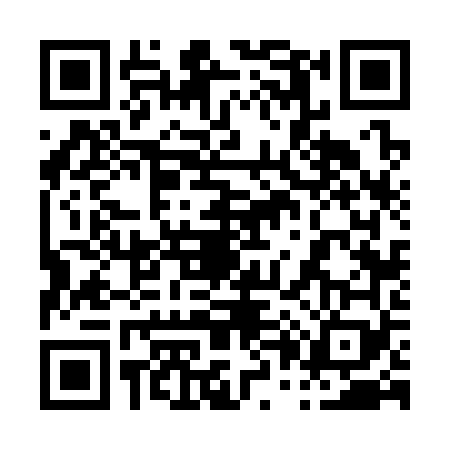 QR code for 0063696