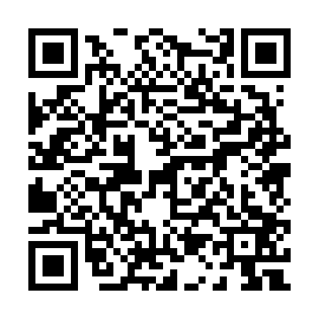 QR code for 0106038