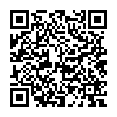QR code for 0125296