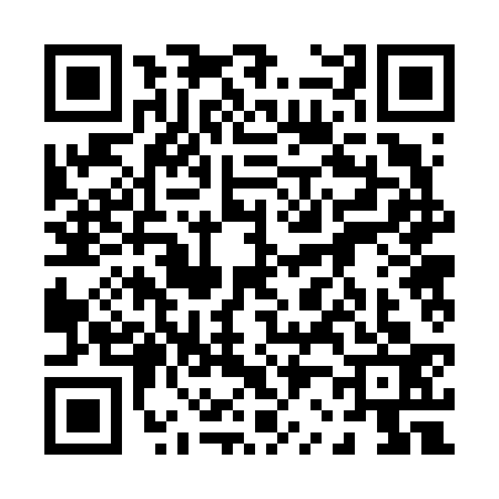QR code for 0226333