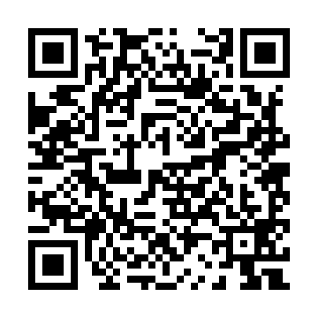 QR code for 0229993