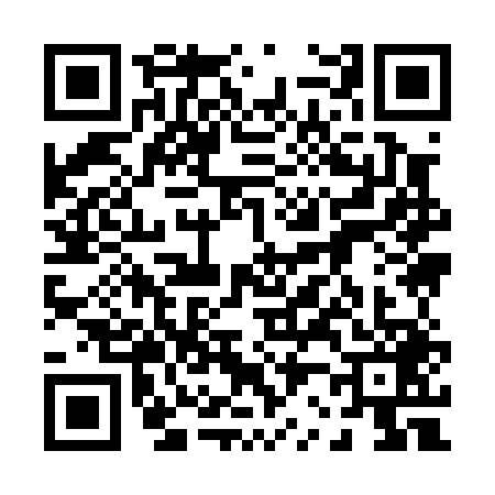 QR code for 0290495