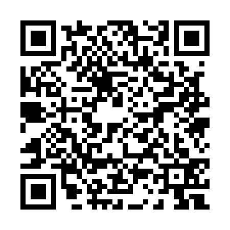 QR code for 0311339