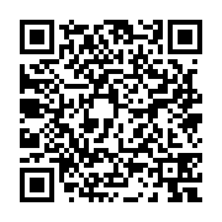 QR code for 0311386