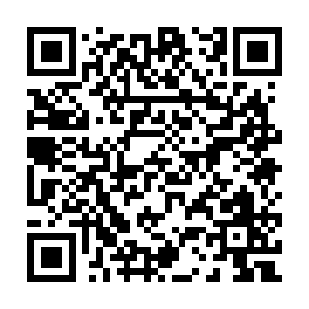 QR code for 03161