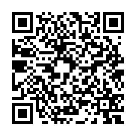 QR code for 0333376