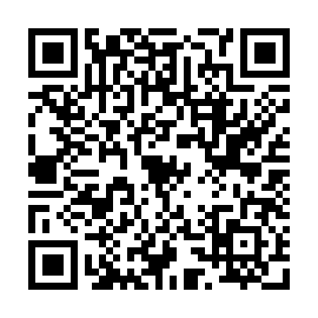 QR code for 0333822